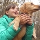 Teenage Girl Itches Her Red Dog's Neck - VideoHive Item for Sale