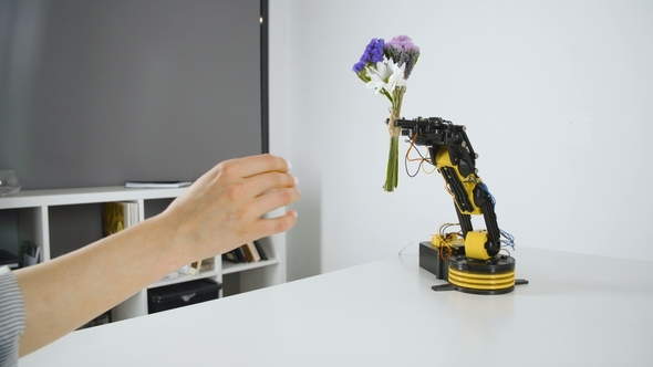 Robot Arm Giving Girl a Bouquet of Flowers