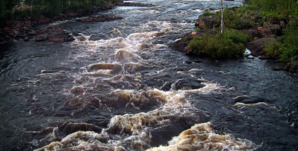 Rough River Flows Through The Forest