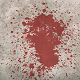 Blood Stab