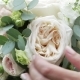 Nice Wedding Bouquet in Bride's Hand - VideoHive Item for Sale