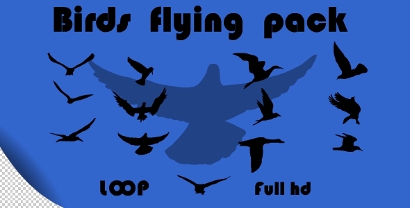 Birds Flying Pack