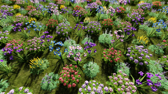 3D Top view of Flowers