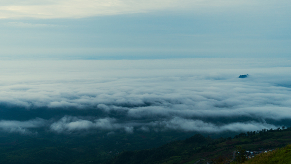 Fog Above Forest