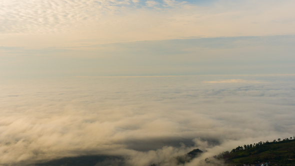 Fog Above Mountain Forest