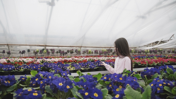 Pretty Young Girl Walks, Poses in Greenhouse and Looking on Flower
