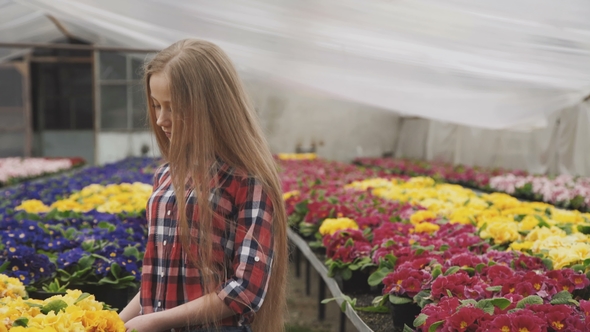 Pretty Girl Walks, Looks and Chooses Flowerpots in Greenhouse.