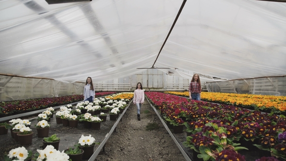 Three Girls Walks Synchronously To Camera Among Flower Seedlings