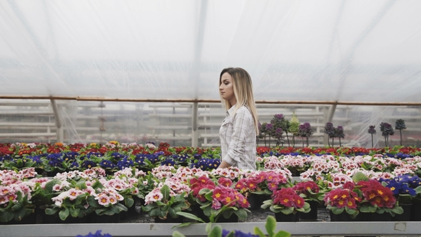 Pretty Girl Walks, Looks and Chooses Flowerpots in Greenhouse