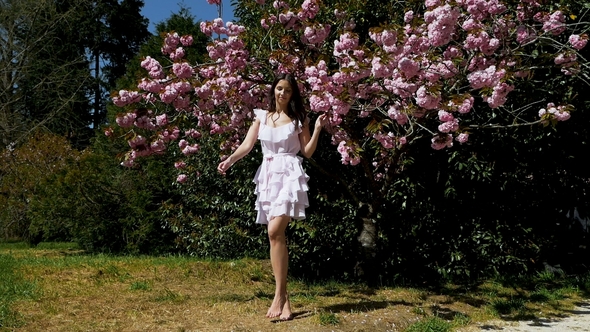 Young Sexy Woman Standing in Pink Dress Next To Sakura