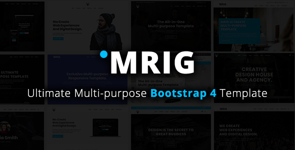 Mrig - Multi-purpose Template