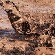 Mud Squish 1