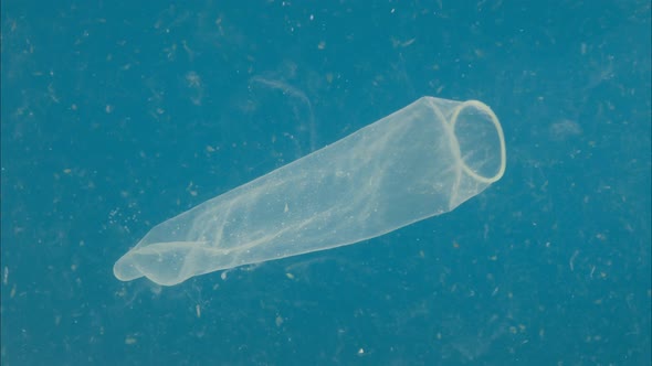 Plastic Trash in Ocean Water Sea Pollution Used Condom Ecology Problems Waste and Garbage Underwater