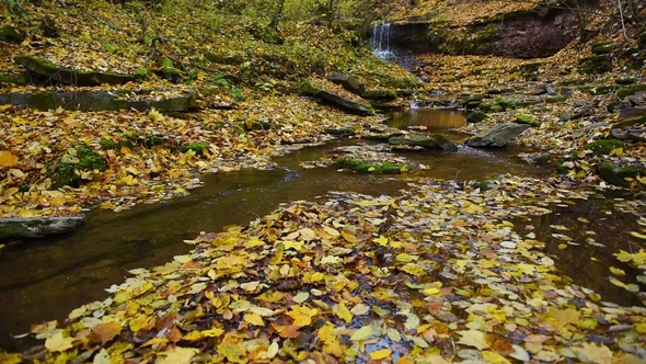 Rusyliv Falls, Waterfalls Cascade on a Small Stream Tributary of Stripa Natural Monument of Local