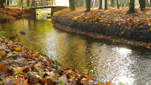 Lone Bridge in Amazing Autumn Park in Topilche Hydropark in Ternopil City