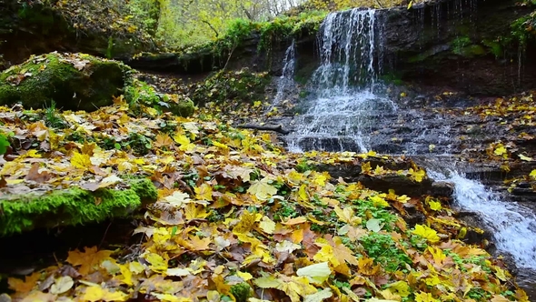 Small Stream Tributary of Stripa Natural Monument