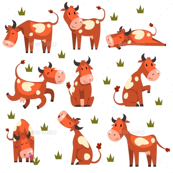 Brown Spotted Cow Set