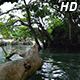 Blue Lagoon Pool Vanuatu - VideoHive Item for Sale