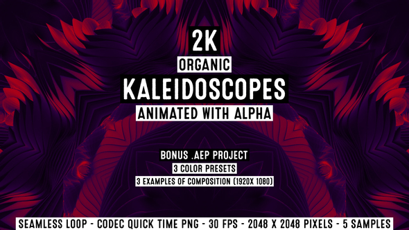 Organic Kaleidoscopes