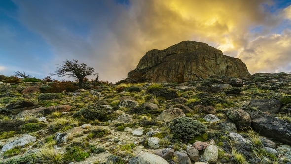 View on Mountains and the Forest in the National Park Los Glaciares National Park. Autumn