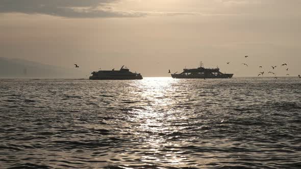 Ferries at Sunset
