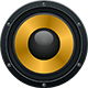 Corporate Record