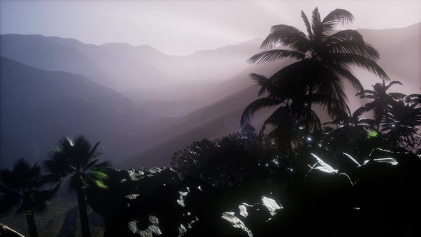 Sunset Beams Through Palm Trees alt