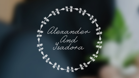 Wedding Animated Typeface alt