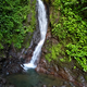 Waterfall in Jungle - VideoHive Item for Sale