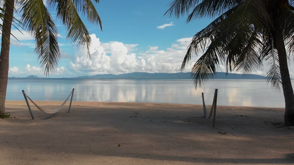 Flight of a Camera Up the Beach with Palm Trees To the Sea in Luxury Resort