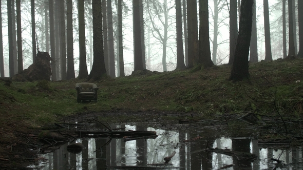 Creepy Armchair in Woods