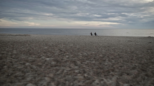 Surfers on Beach