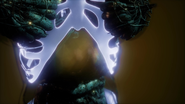 Human Body with Visible Skeletal Bones alt