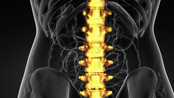 Backache in Back Bones alt