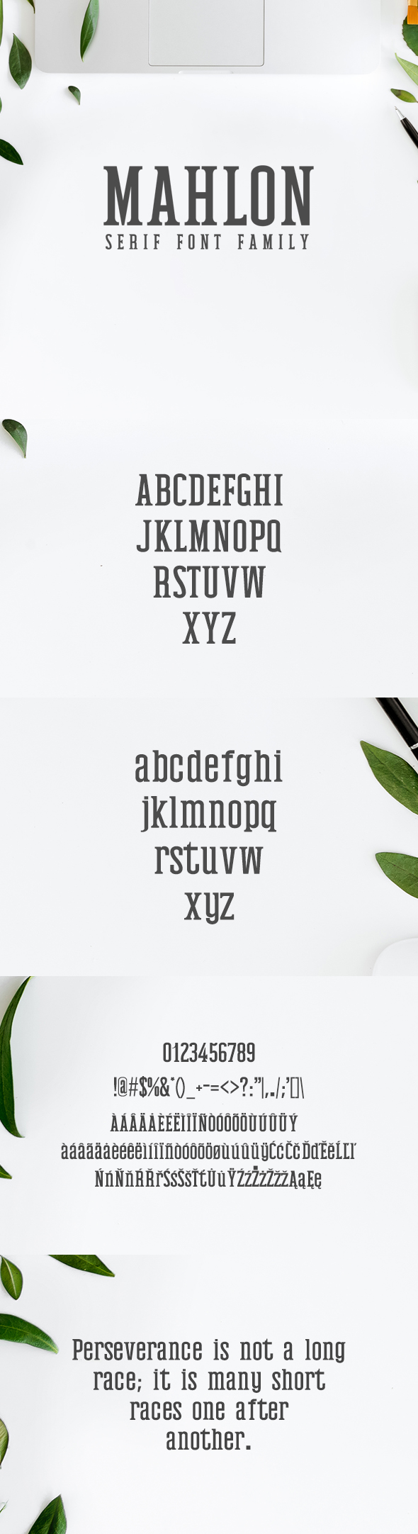 Mahlon Serif 3 Font Family Pack