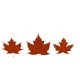Maple - 3DOcean Item for Sale