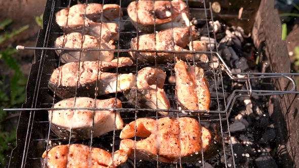 Preparation of Fish Red in the Open Air on the Grill in the Grate, Drops of Beer Falling in  on Th