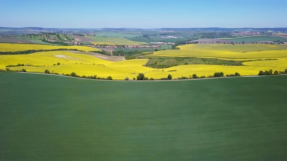 Aerial View of Rapeseed Fields in Moravia, Czech Republic