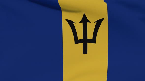 Flag Barbados Patriotism National Freedom Seamless Loop