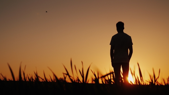 A Young Man Stands in One Field and Looks at the Sunset