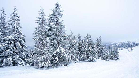 Beautiful Winter Landscape with Snow Covered Trees. Winter Mountains.