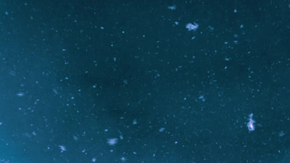 Snowflakes Flying in Dark Night Sky in Winter. Blue Snowfall Background