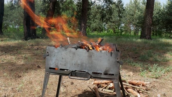 Brazier Barbecue Grill in Forest