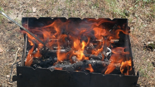 Brazier Barbecue Grill in Forest