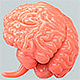 Falling Brains - VideoHive Item for Sale