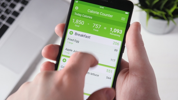 Using Calorie Counting App on the Smartphone