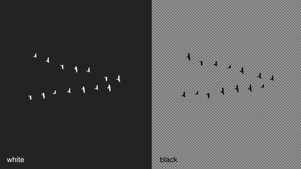 Migration Of Birds Silhouettes - V Formation alt