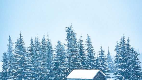 Beautiful Winter Landscape with Snow Covered Trees. Winter Mountains.