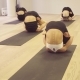 Yoga Class. People Doing Yoga Exercises - VideoHive Item for Sale