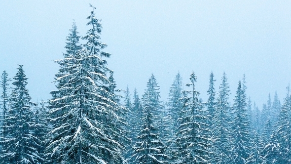 Beautiful Winter Landscape with Snow Covered Trees. Winter Mountains.